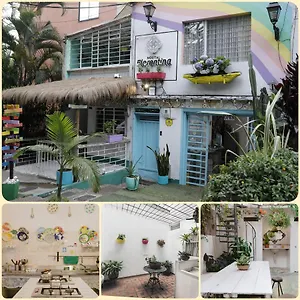 Florentina Symbiosis Medellin
